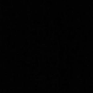 Meet your Posher, Ashton